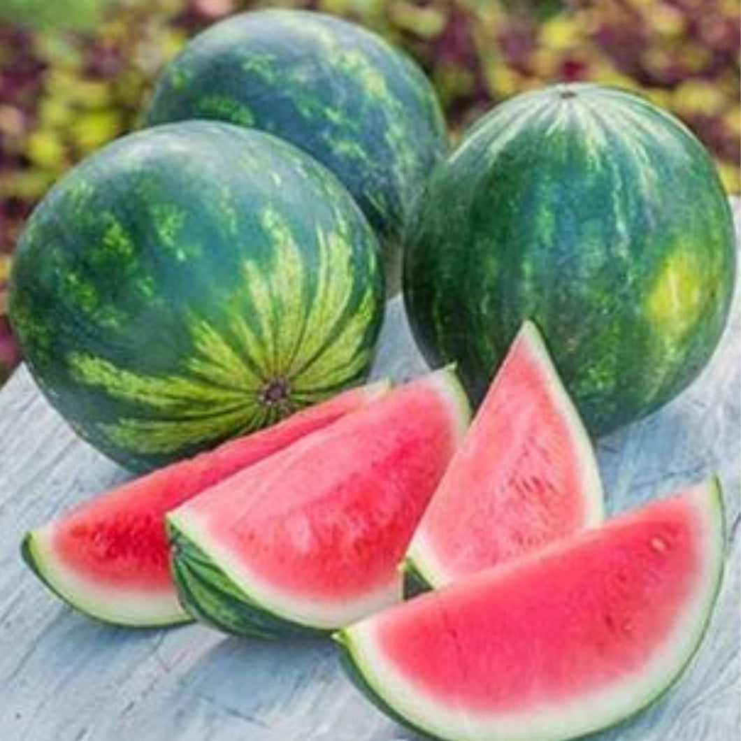 Organic Watermelon 1.2-1.5kg