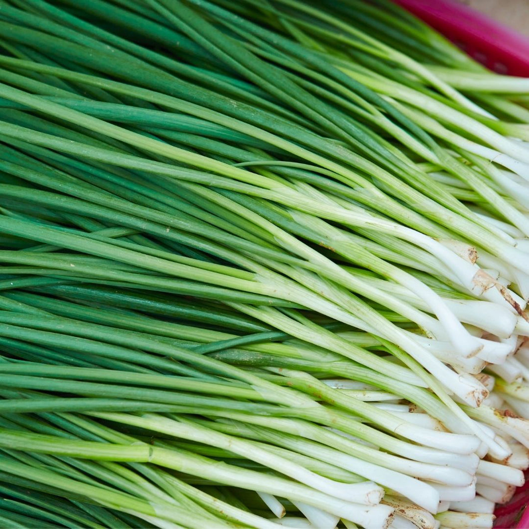 Organic Garlic Chives Bunch x 1 | FreshBox