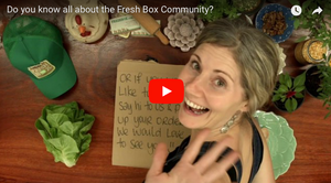 How this works | FreshBox
