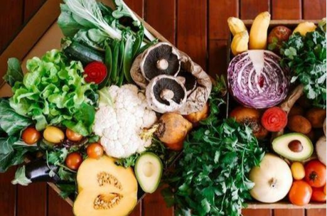 Best Benefits of Fresh Food Boxes