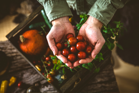 🔒 Don't panic, it's organic - order online for home delivery now | Sunshine Coast, North Brisbane and Hinterland 🍏