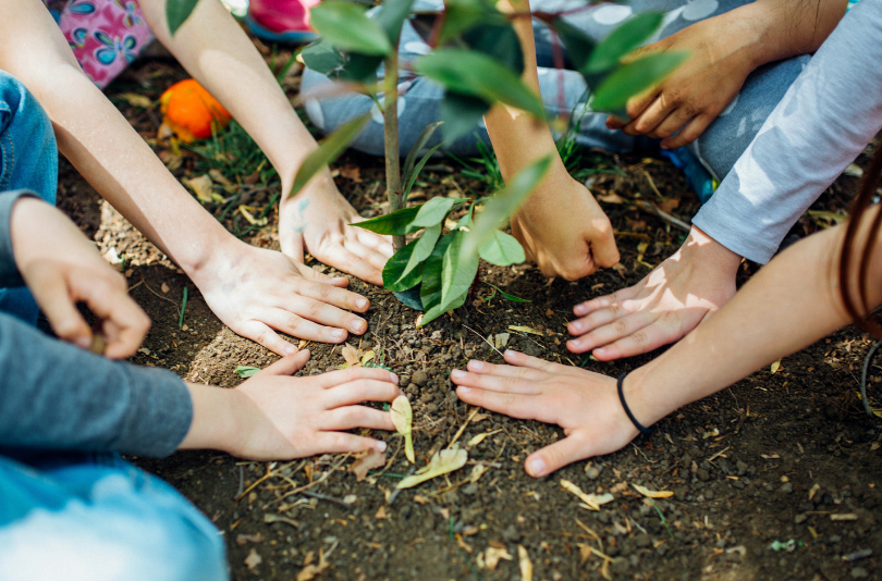 How To Celebrate Earth Day