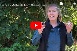 Frances Michaels Seed Saving | FreshBox
