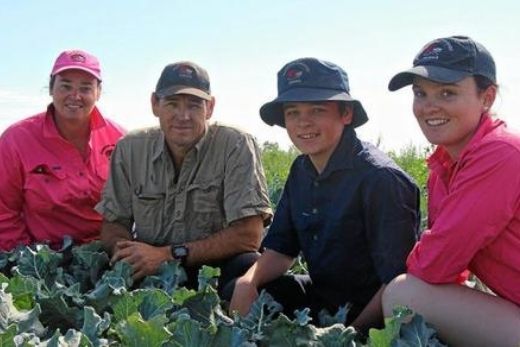 Huggins organic farm - Gatton, Qld | FreshBox