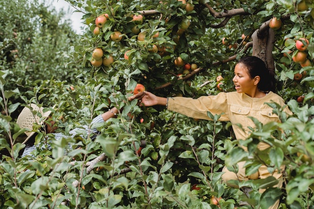 Crop Losses & What This Means For Organic Farms | FreshBox