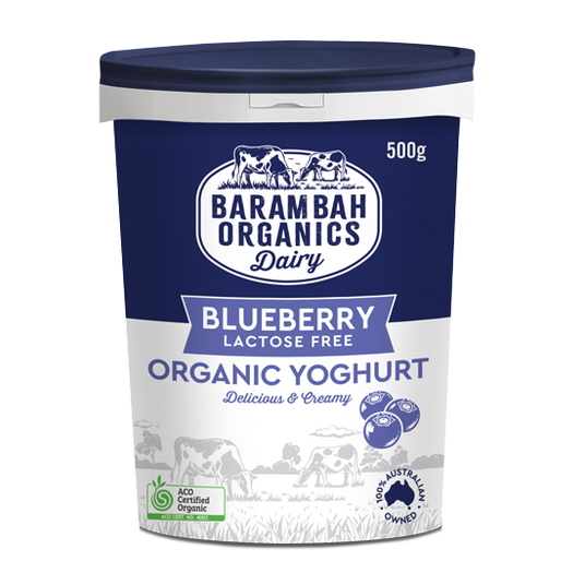 Yoghurt Blueberry Barambah Organics 500g