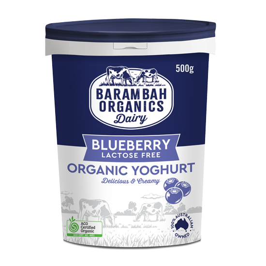 Yoghurt Blueberry Barambah Organics 500g