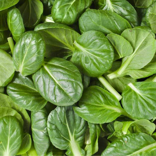 Organic Spinach Baby 300g