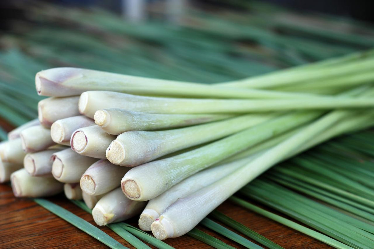 Organic Lemongrass