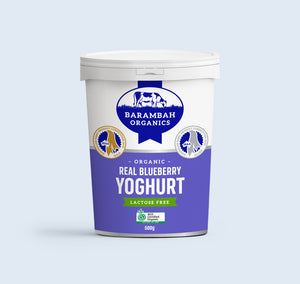 Yoghurt Blueberry Barambah Organics 500g