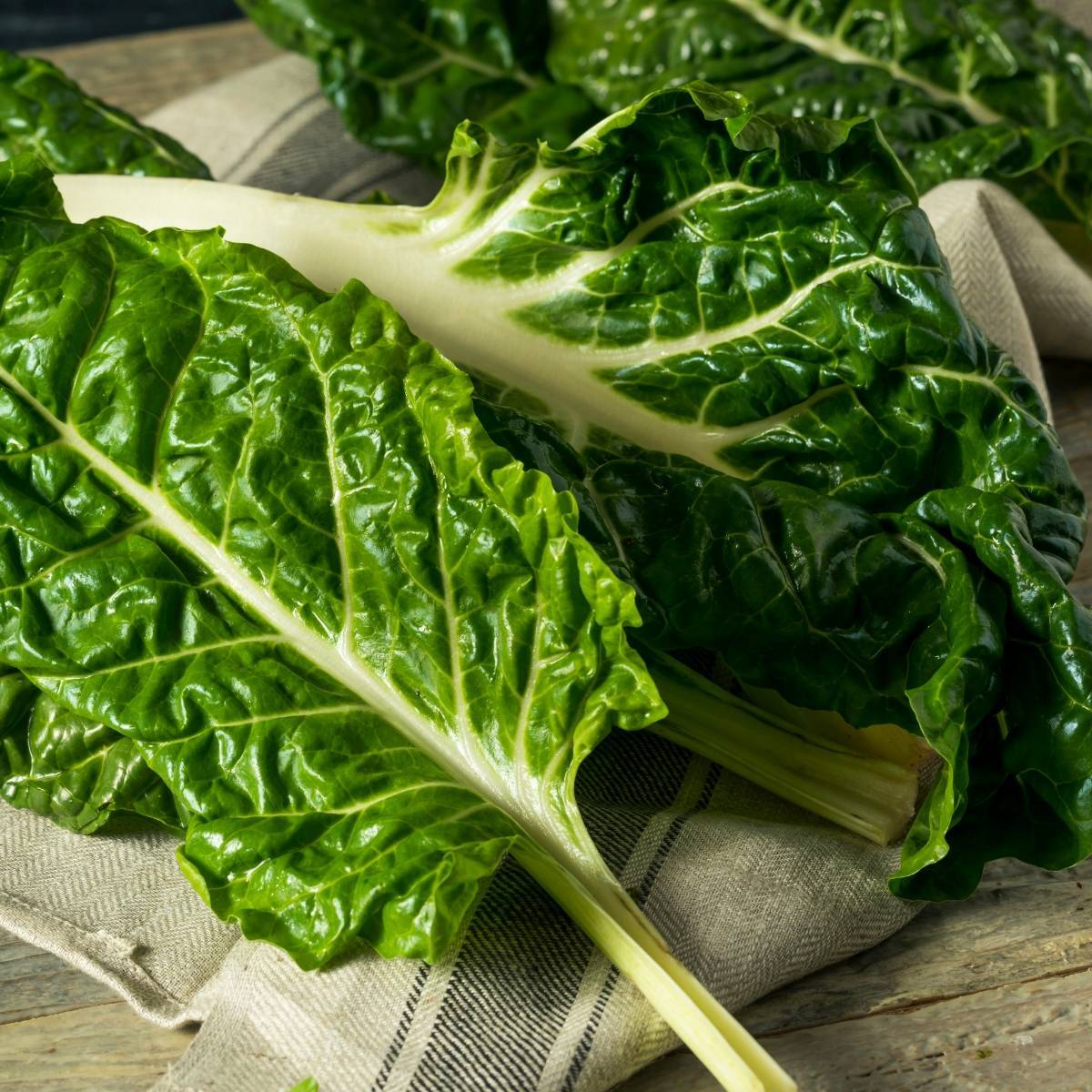 Organic Silverbeet Bunch x 1