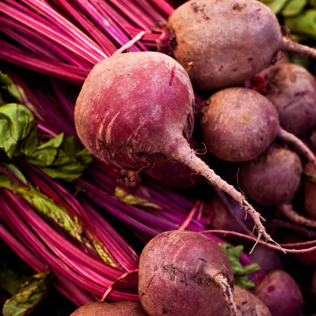 Organic Beetroot 500g | FreshBox