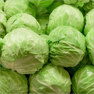 Organic Cabbage Green Whole | FreshBox