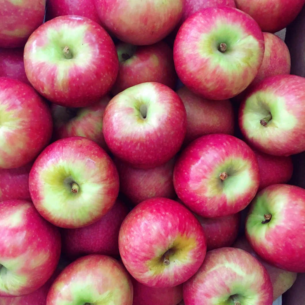 Organic Apples Pink Lady 1kg | FreshBox