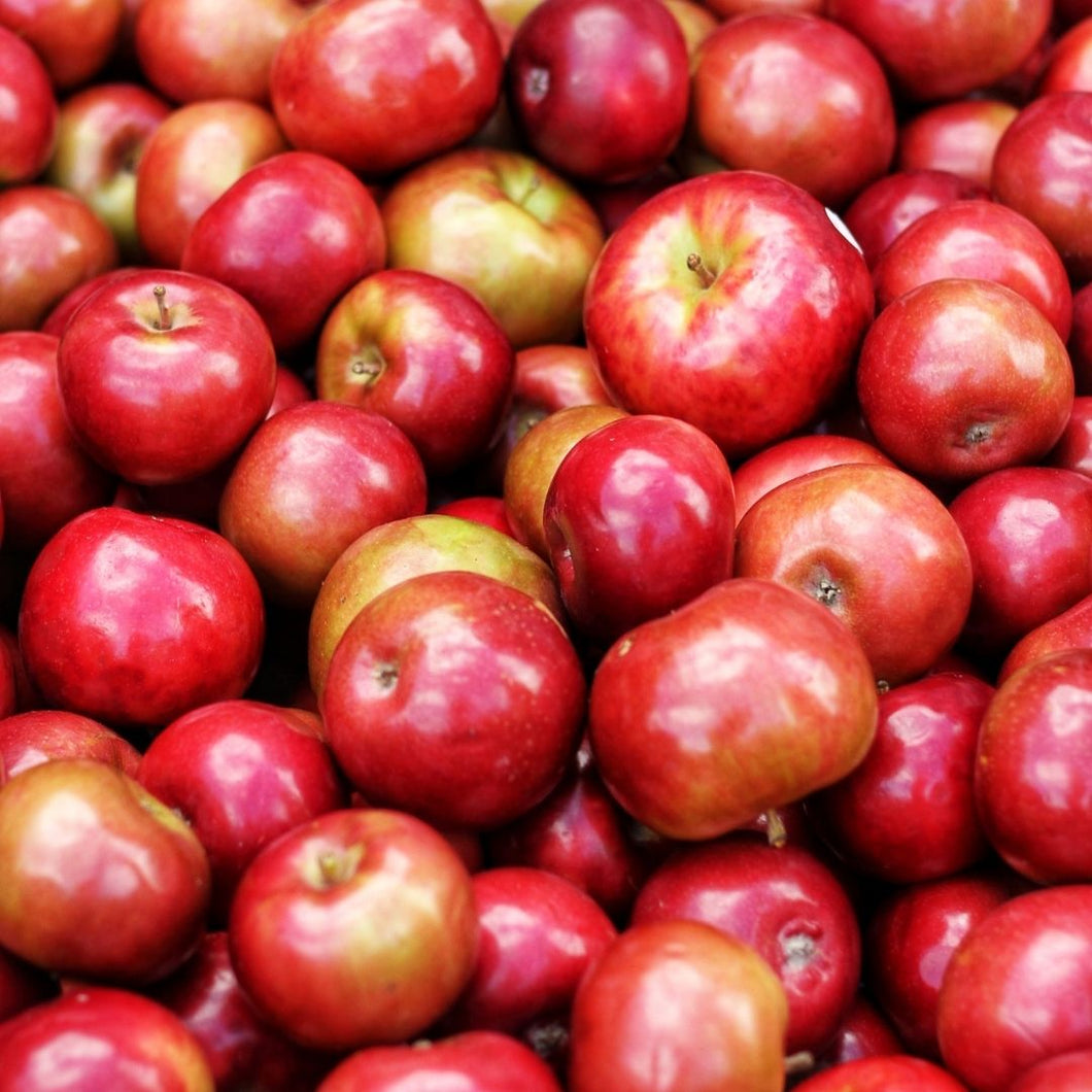 Organic Apples Red Delicious 600g | FreshBox