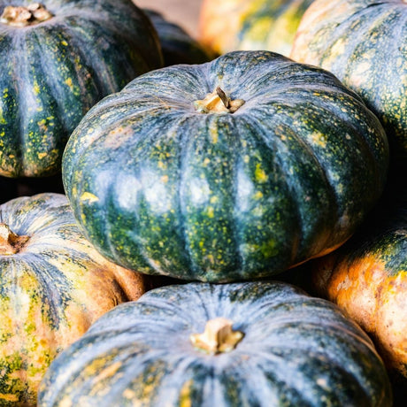 Organic Pumpkin 3kg | FreshBox