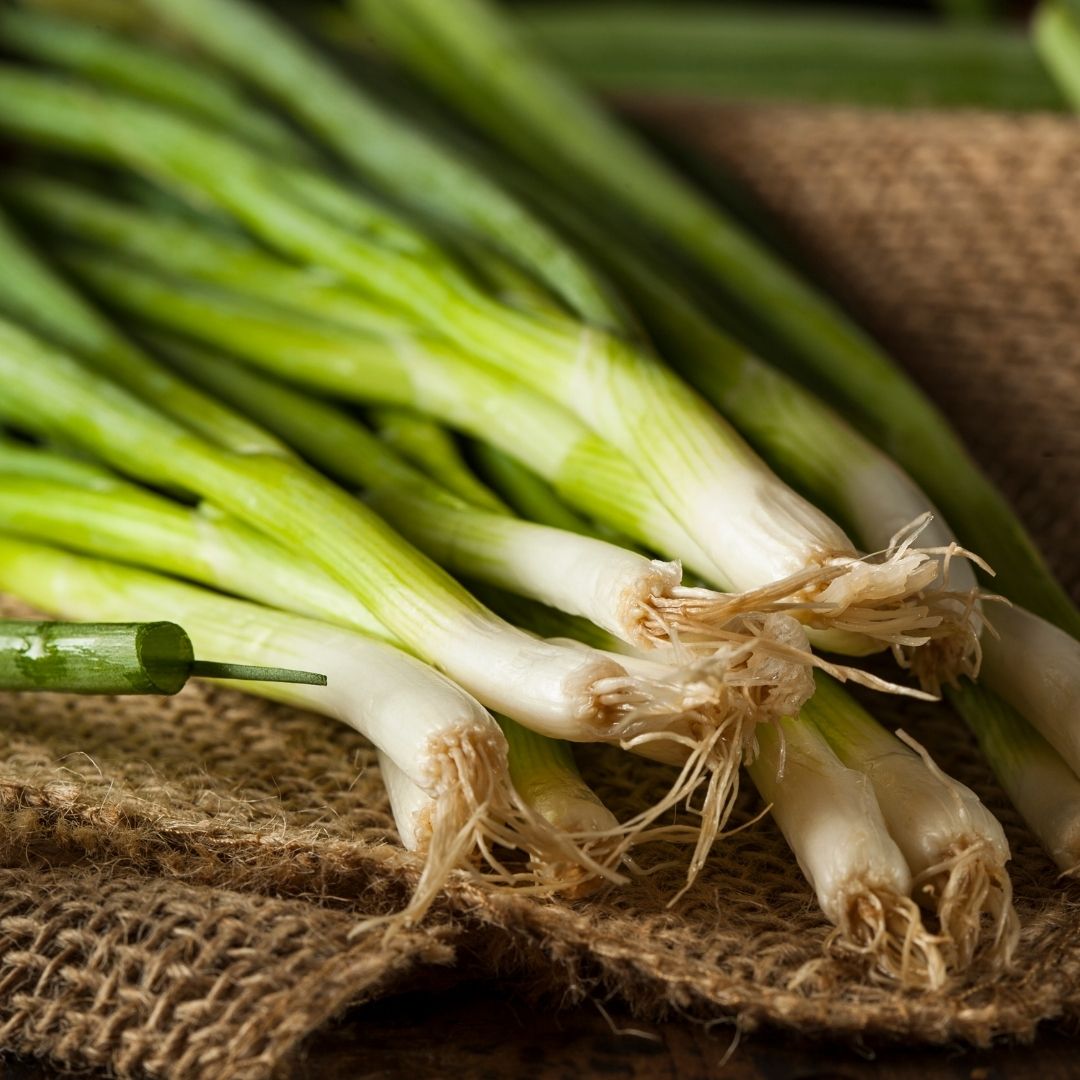 Organic Shallots Bunch x 1