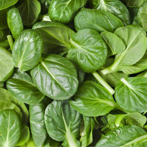 Organic Spinach Baby 100g