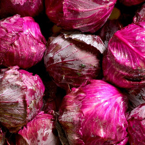 Organic Cabbage Red Whole | FreshBox
