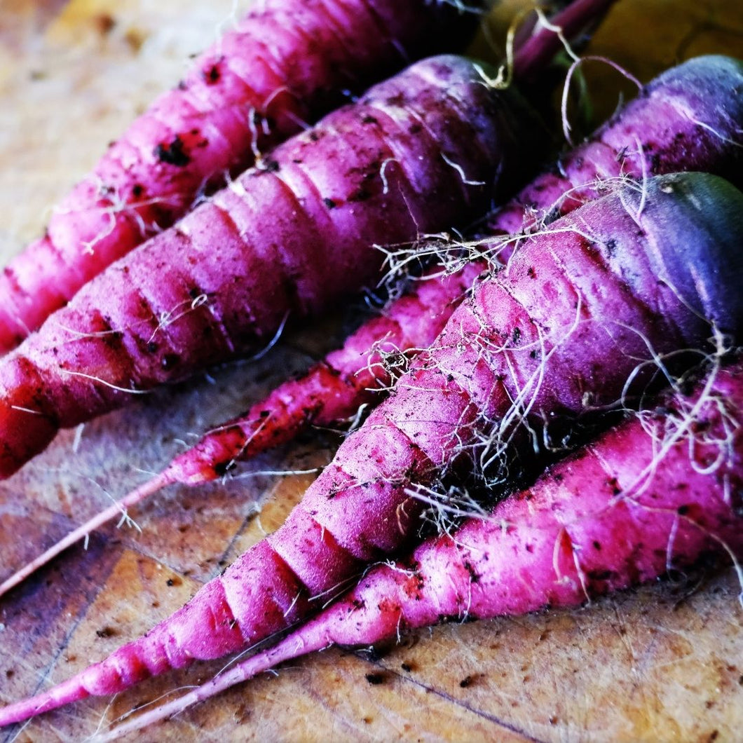 Organic Carrots Purple 500g | FreshBox