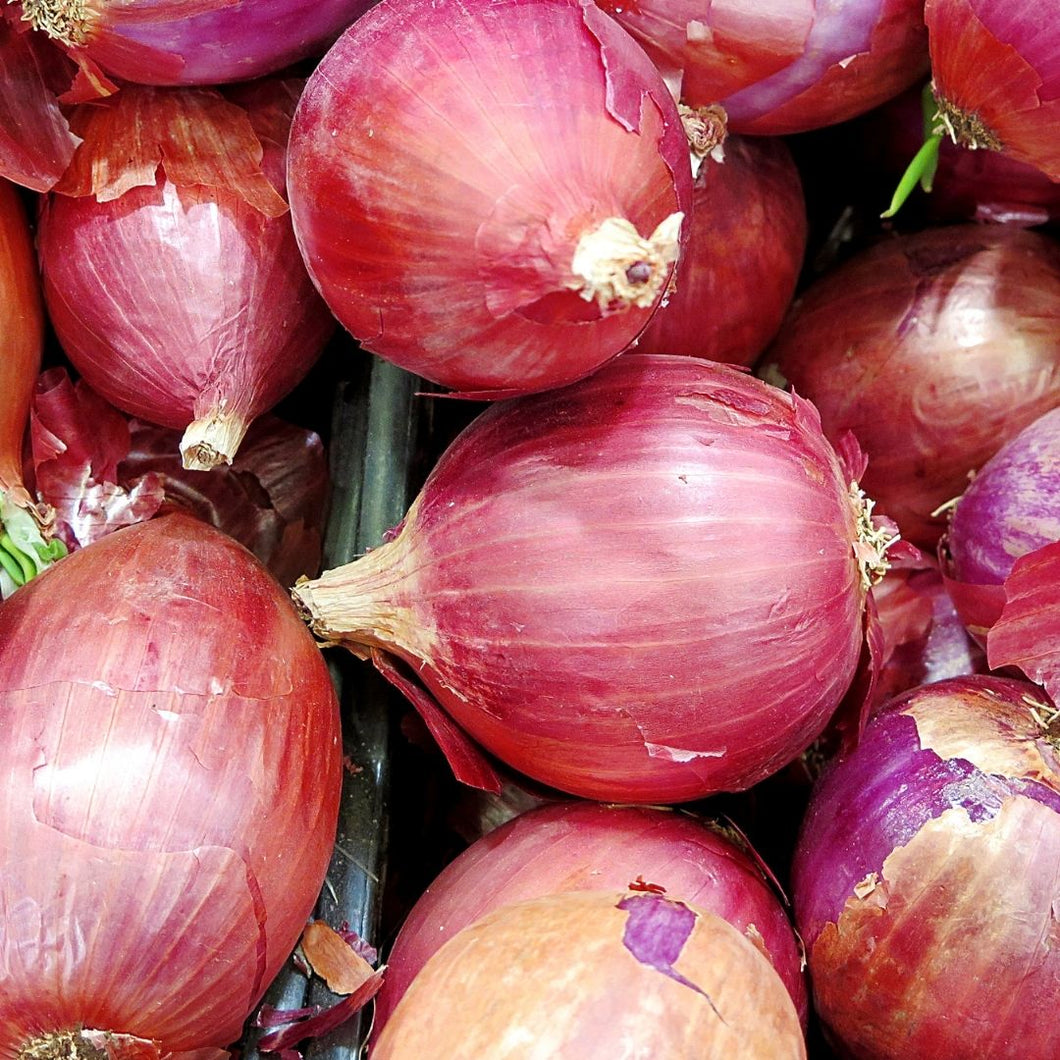 Organic Onion Red 500g | FreshBox