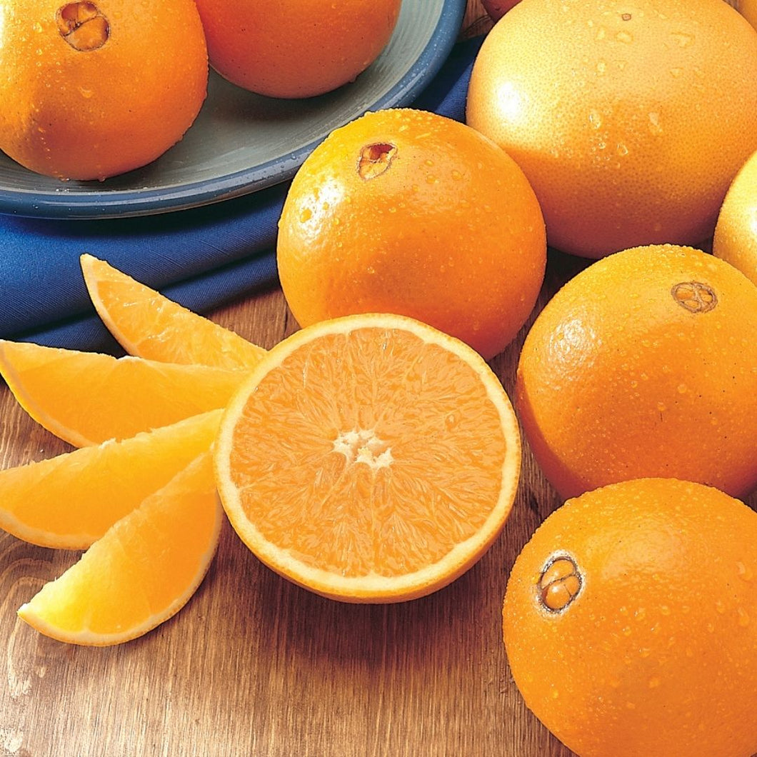 Organic Oranges Navel 1.5kg | FreshBox