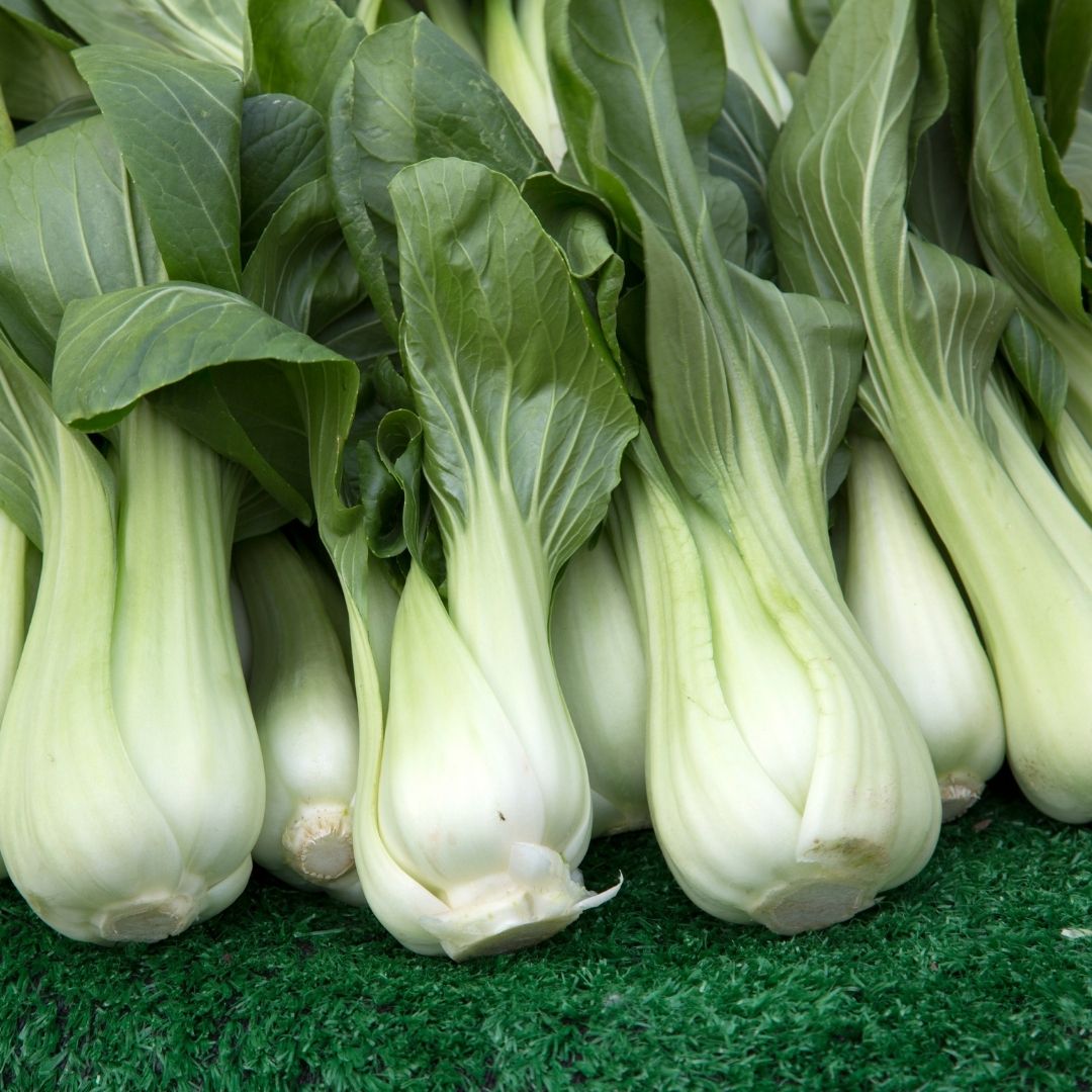 Pak Choi Bunch x 1