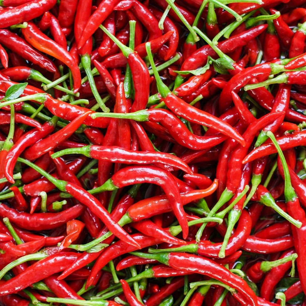 Chilli Red 100g | FreshBox