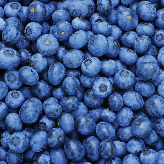 Organic Blueberries Punnet 125g | FreshBox