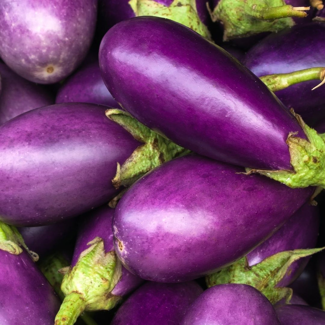 Organic Eggplant x 1 | FreshBox