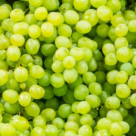 Organic Grapes Green 500g | FreshBox