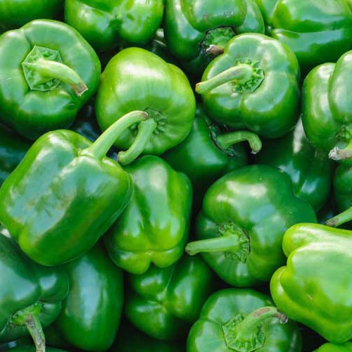 Organic Capsicum Green x 1 | FreshBox