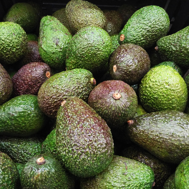 Organic Avocado x 1 | FreshBox