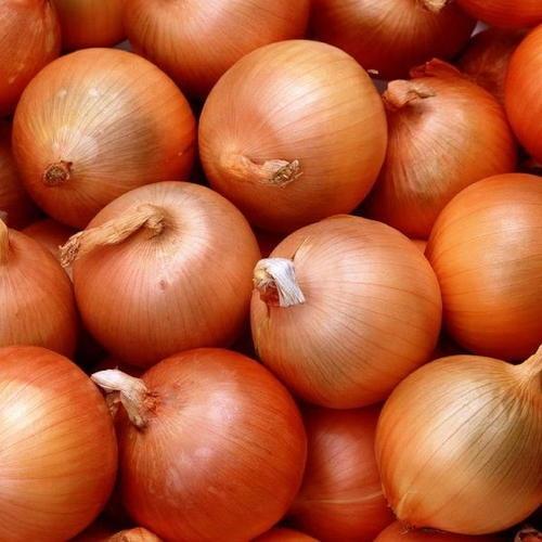 Organic Onion Brown 1kg | FreshBox