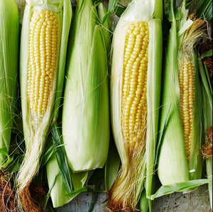 Organic Corn Cob x 2 | FreshBox